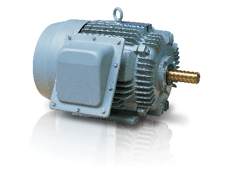 高效率馬達(dá) IE2 系列 - TEFC